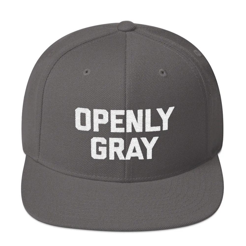 Openly Gray Snapback Hat