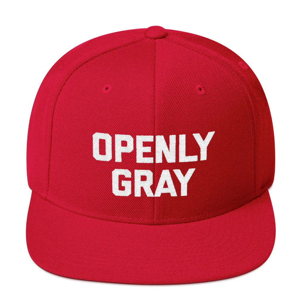 Openly Gray Snapback Hat