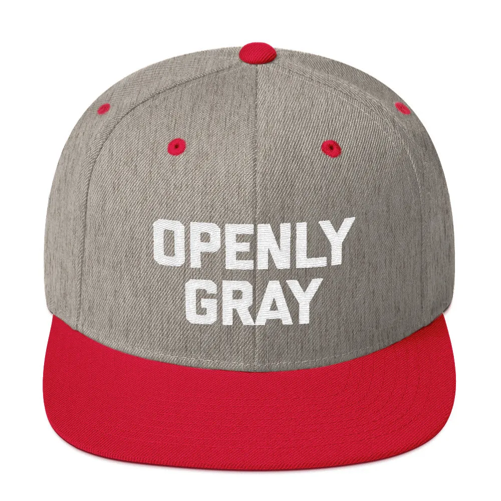 Openly Gray Snapback Hat