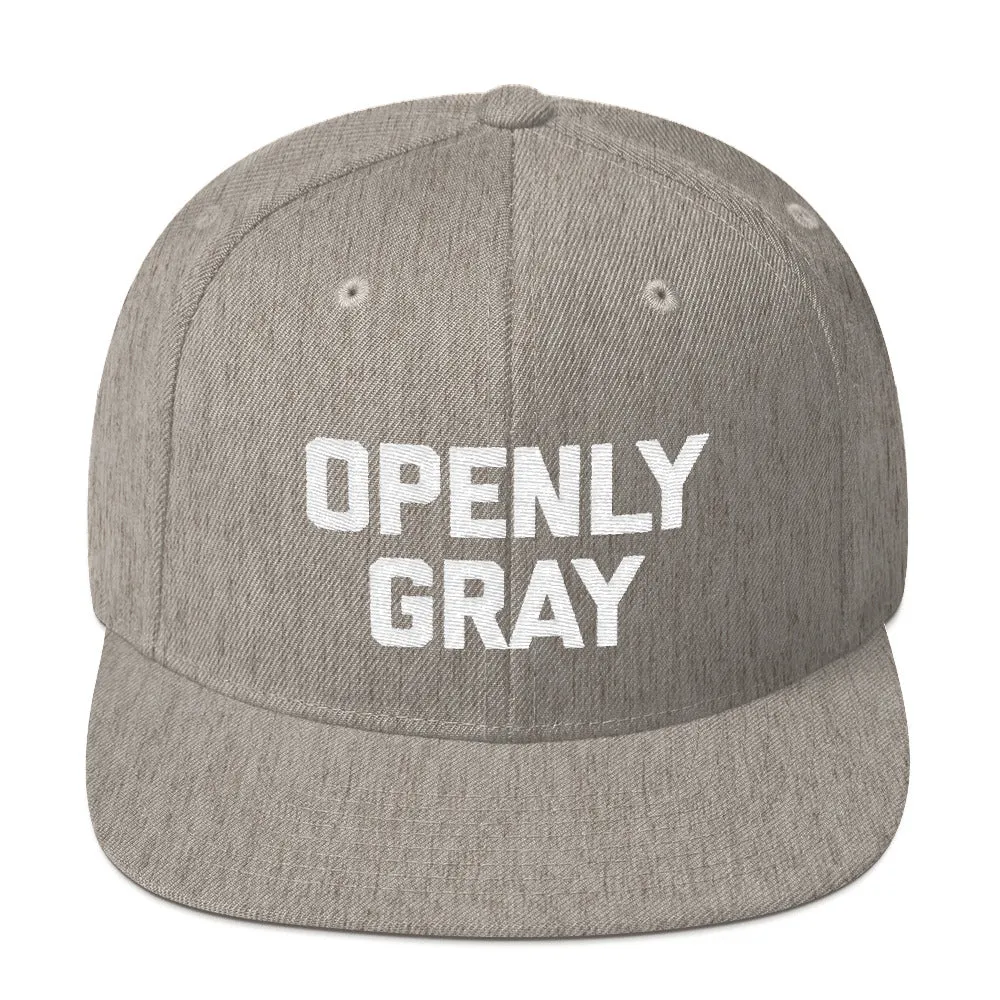 Openly Gray Snapback Hat