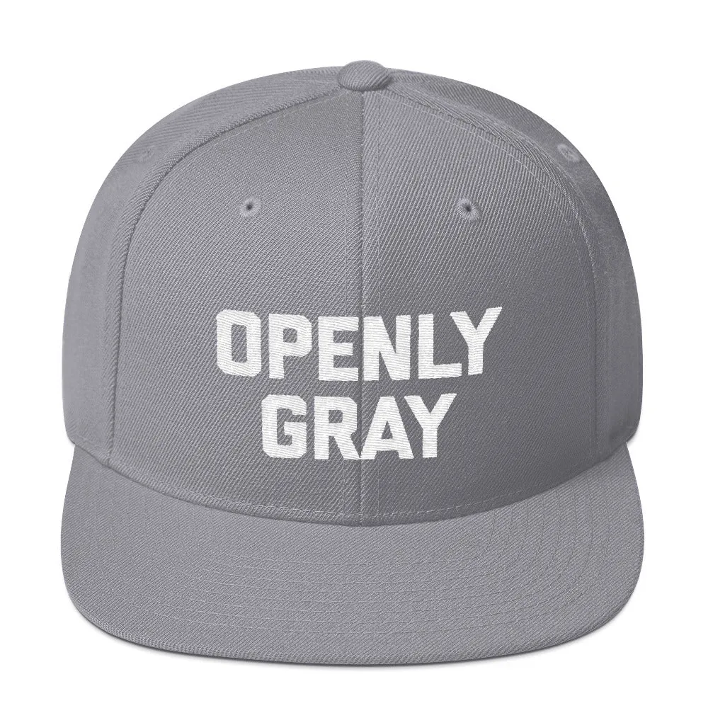 Openly Gray Snapback Hat