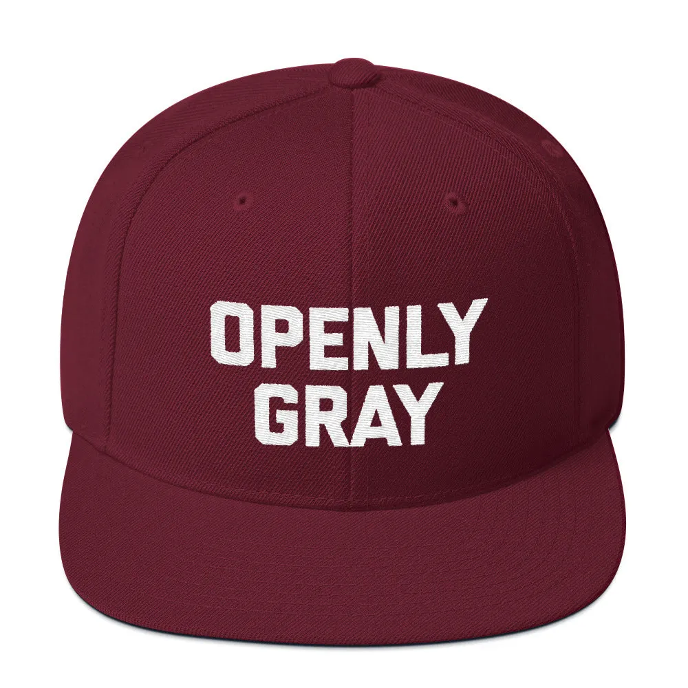 Openly Gray Snapback Hat