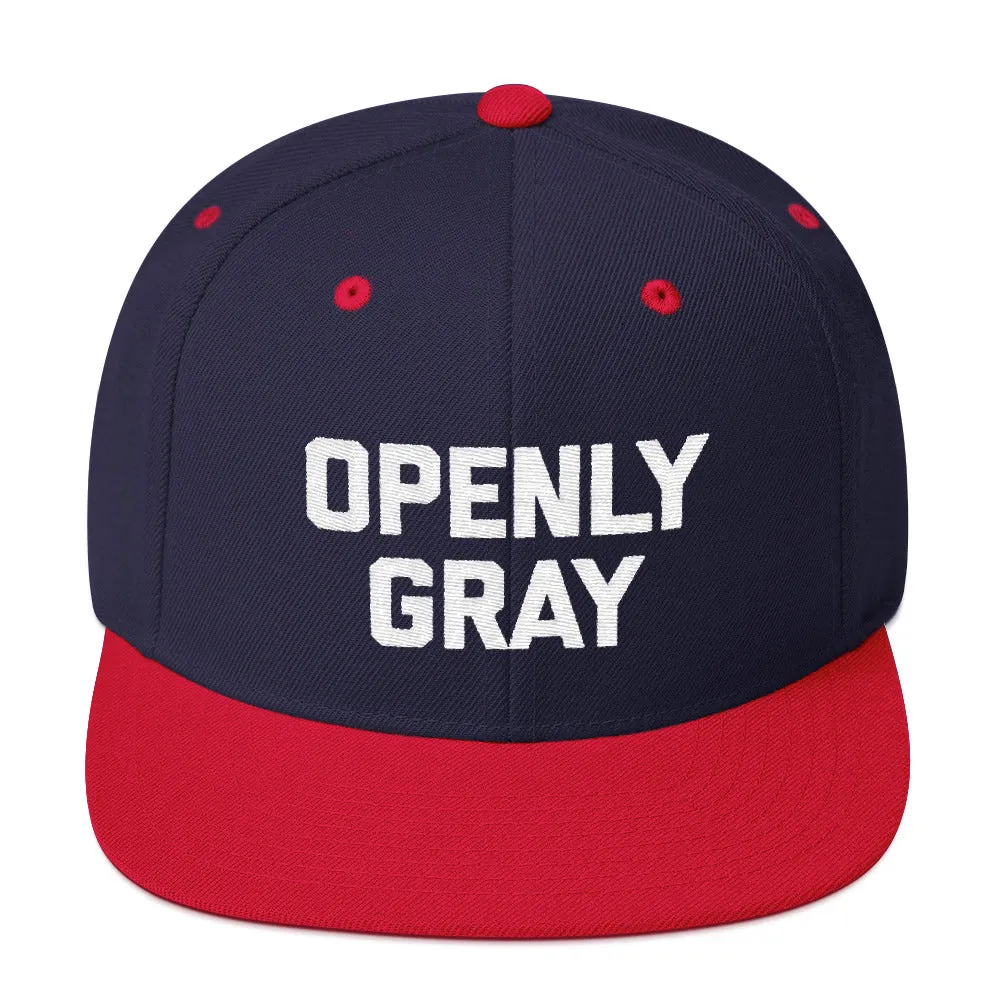 Openly Gray Snapback Hat