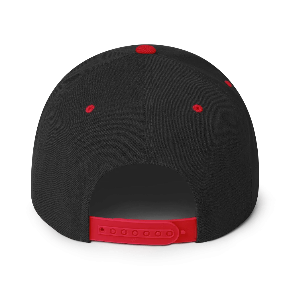 Pander Snapback Hat